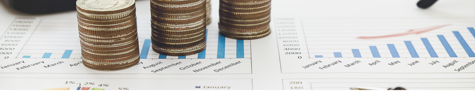 Distribuição de lucros x pró-labore: o que evitar para não cair na malha fina